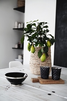 df7eb93ca806242fae6cc823d582f2d3